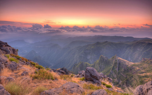 477738 (a): :2560x1600